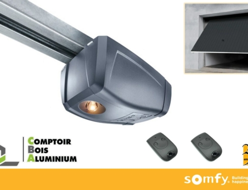 Moteur SOMFY DEXXO COMPACT RTS